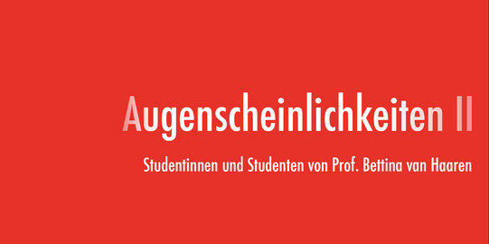 Ausstellungskatalog Augenscheinlichkeiten II