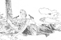 Strichzeichnung einer surrealen Szene: Eine menschliche Figur mit zwei Pistolen taucht halb aus einer organisch wirkenden Landschaft auf. Die Umgebung wirkt traumartig und aufgelöst.