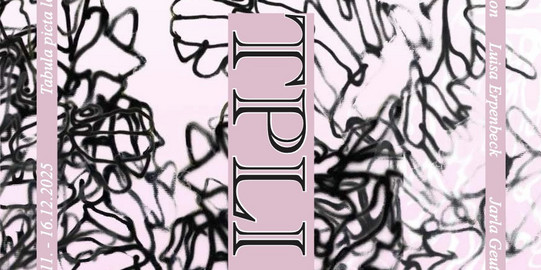 rosa und schwarz gestaltetes Titelblatt mit abstrakten, linienartigen Formen und zentraler Typografie.