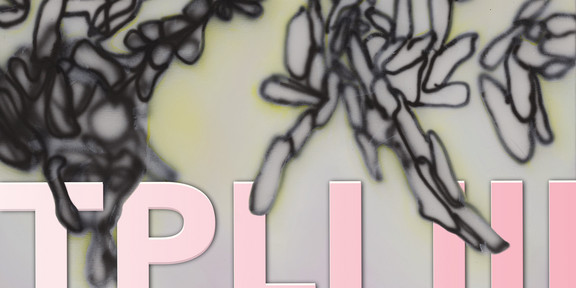TPLI III Abstraktes Bannerbild zur Ausstellung TPLI III: Graue, weich gesprühte Linienformen auf hellem Hintergrund mit gelblichen Akzenten, darüber große rosa Buchstaben „TPLI III“.