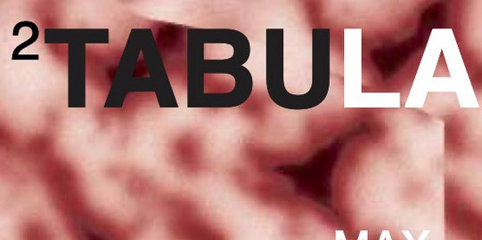 Katalogcover zur Ausstellung Tabula Picta Lorem Ipsum: rot-rosa abstrakter Hintergrund mit weißer Typografie und aufgelisteten Künstlernamen.