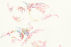 Bettina van Haaren - o.T.