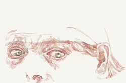 Bettina van Haaren - o.T.