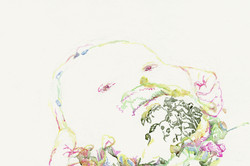 Bettina van Haaren - o.T.